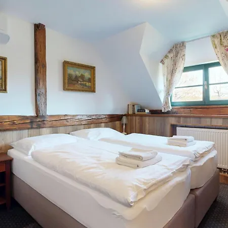 Boutique Pri Mlyne Hotel 3*