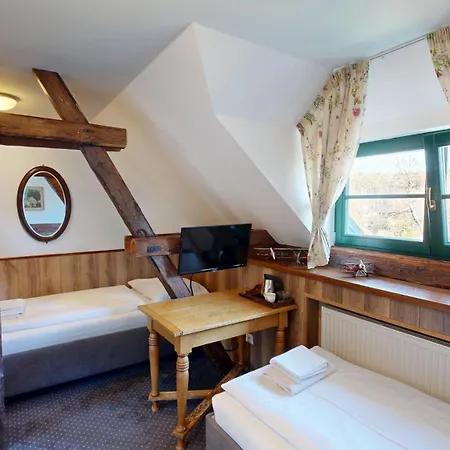 Boutique Pri Mlyne 호텔 3*