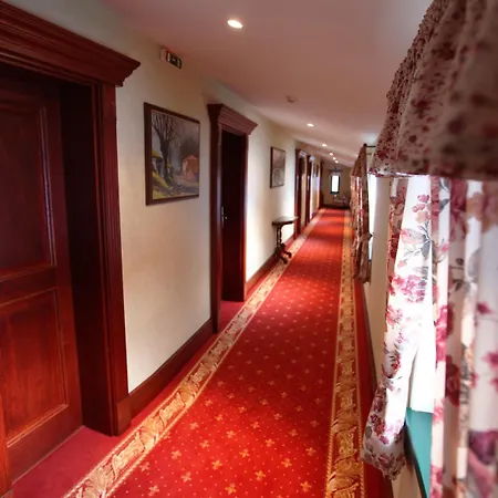 Boutique Pri Mlyne 호텔 3*