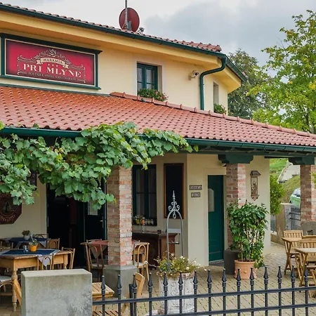 Hotel Boutique Pri Mlyne 3*