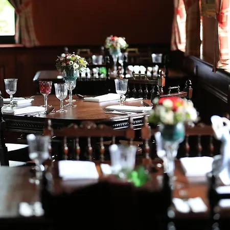 Hotel Boutique Pri Mlyne 3*