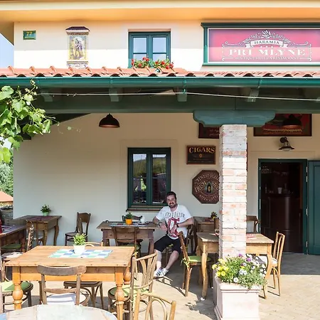 Hotel Boutique Pri Mlyne Lozorno