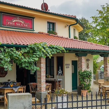 Boutique Pri Mlyne Hotel