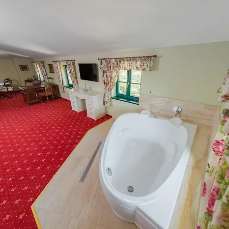 Boutique Pri Mlyne Hotell 3*
