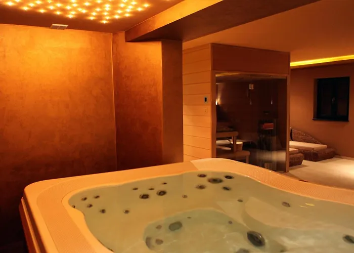 Hotel Boutique Pri Mlyne 3*
