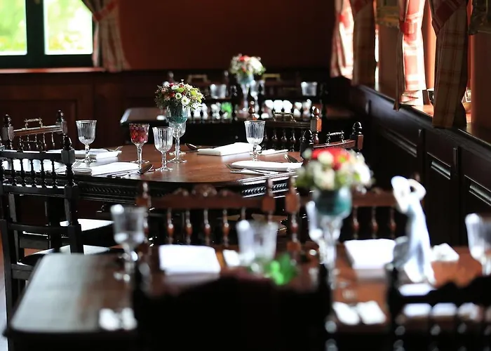 Hotel Boutique Pri Mlyne 3*